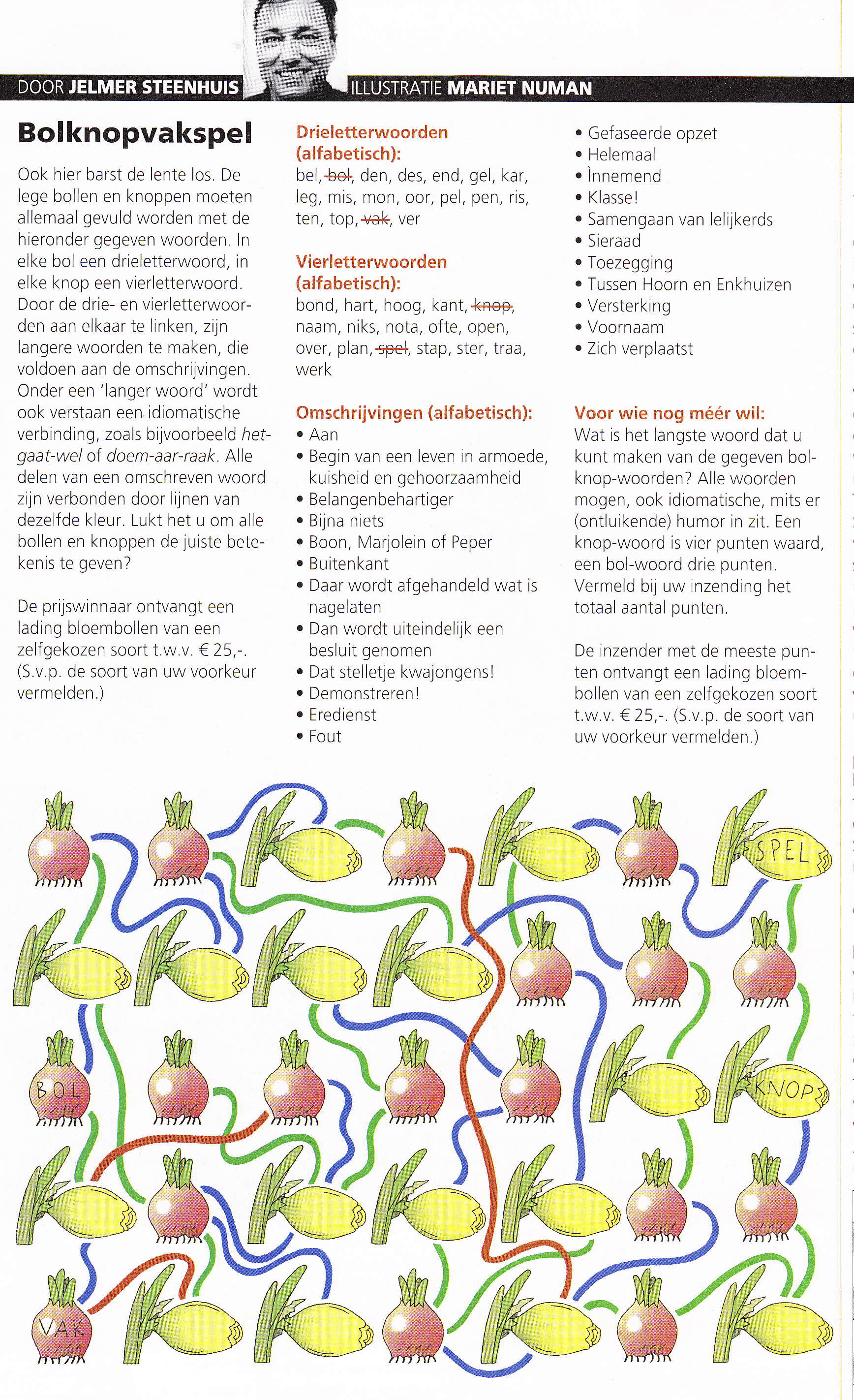Een scan van de puzzel Bolknopvakspel
