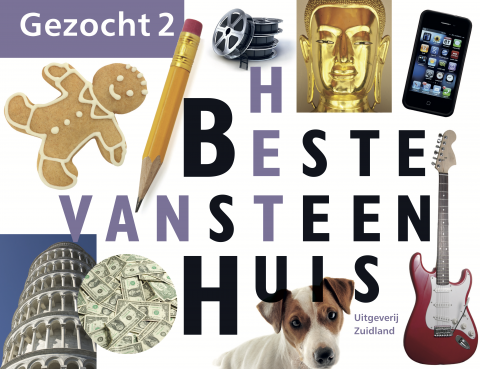 Puzzelboek Gezocht 2 - Het beste van Steenhuis