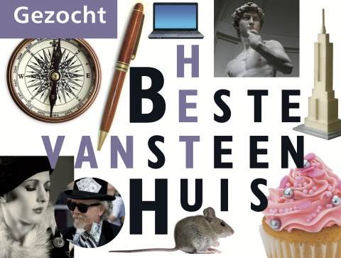 Puzzelboek Gezocht - Het beste van Steenhuis