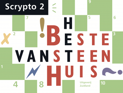 Puzzelboek Scrypto 2 - Het beste van Steenhuis